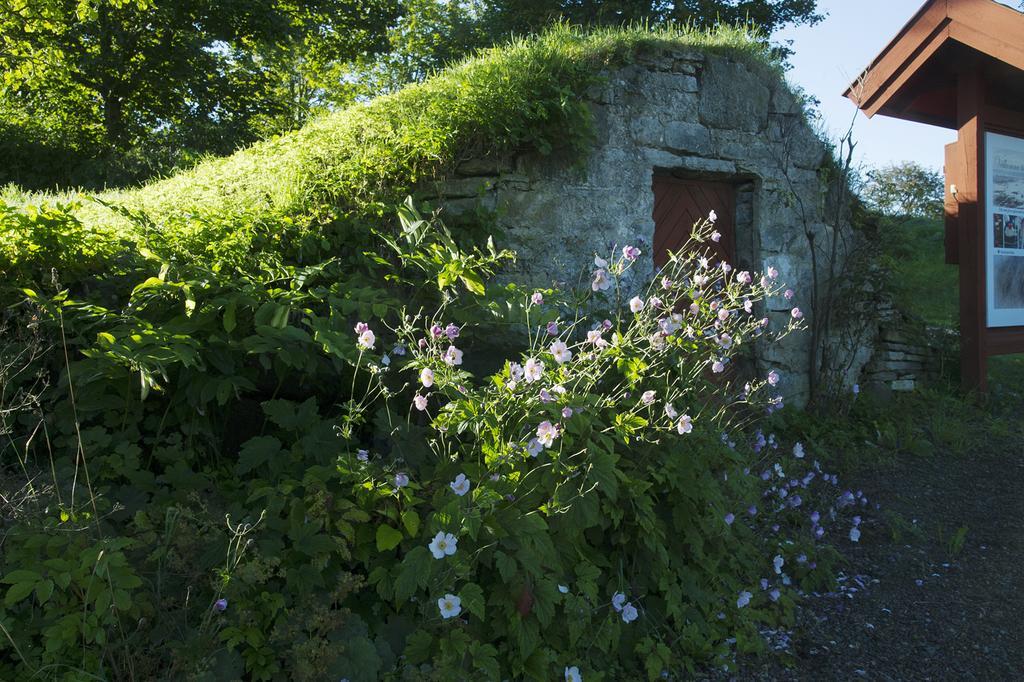 Loefwings B&B Broddetorp Exterior photo